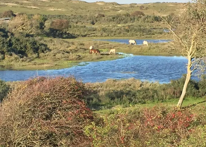 Sterflat 189 Apartamento